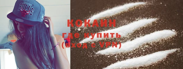 первитин Осинники