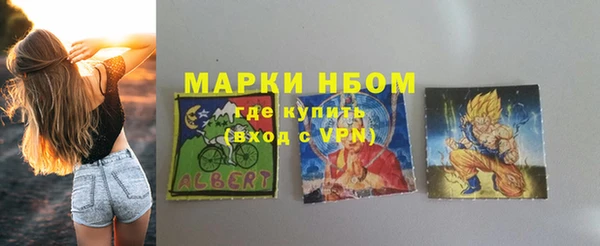 молекула духа Осташков