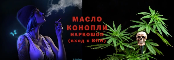 молекула духа Осташков