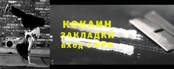 молекула духа Осташков