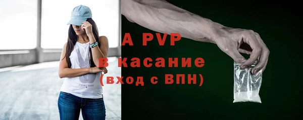 молекула духа Осташков