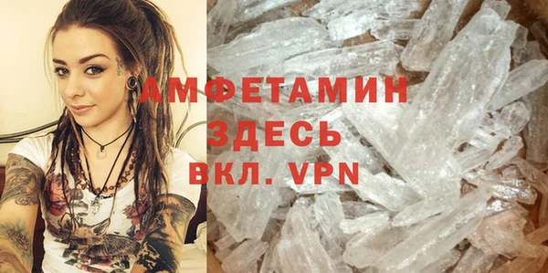 молекула духа Осташков