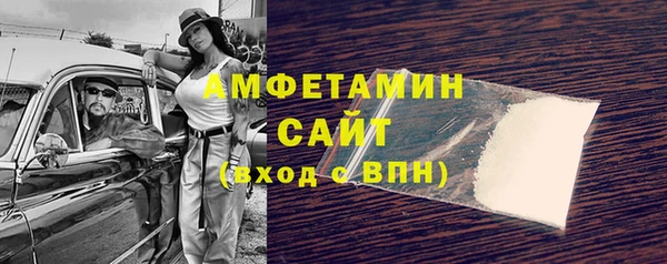 молекула духа Осташков