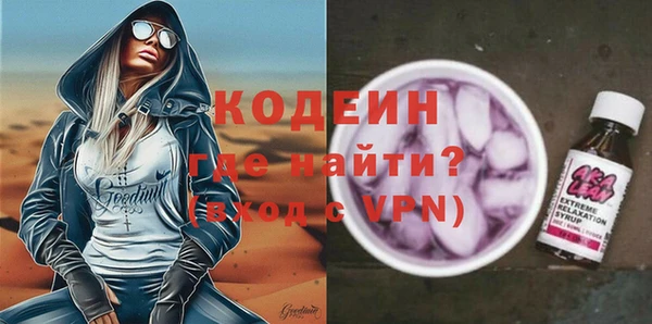 молекула духа Осташков