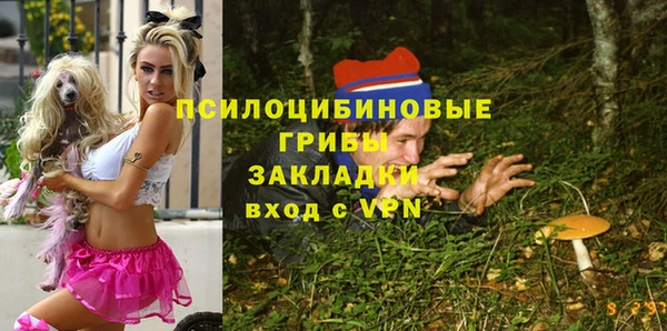 первитин Осинники