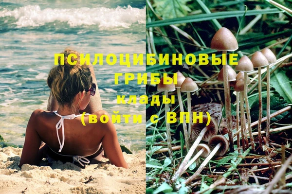 первитин Осинники